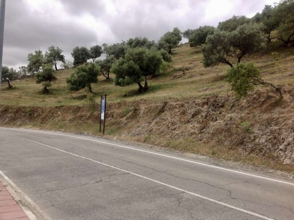 Big land for sale in Cañete La Real, Málaga