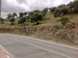 Big land for sale in Cañete La Real, Málaga