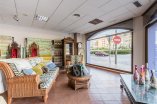 Commercial premises in San Pedro de Alcantara