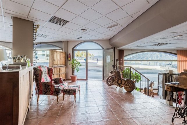 Commercial premises in San Pedro de Alcantara