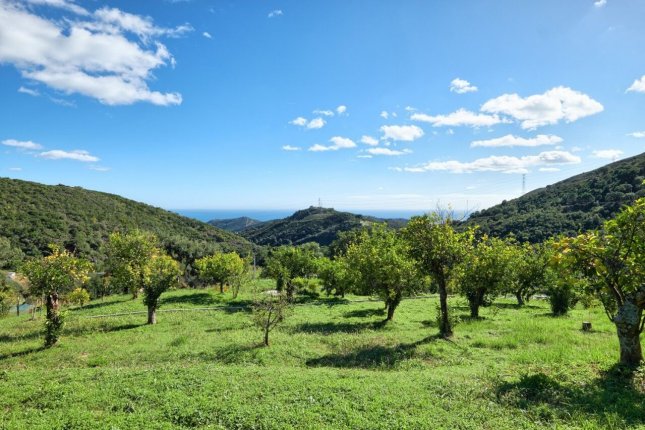 Country estate located4