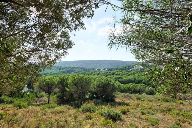 Sotogrande Land_7