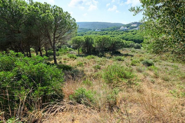 Sotogrande Land_9