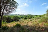 Sotogrande Land_10