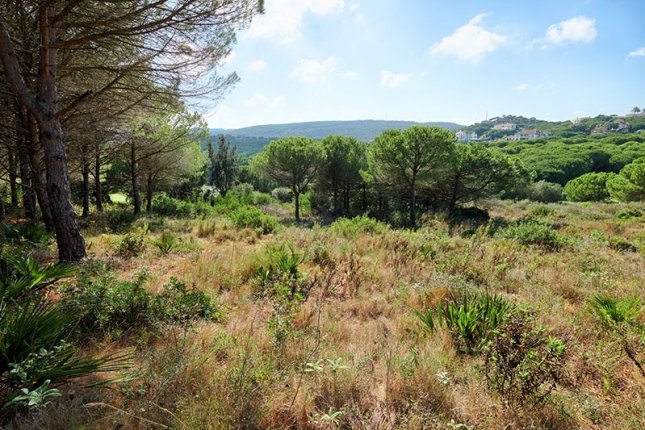 Sotogrande Land-12