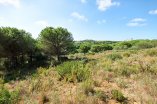 Sotogrande Land_13